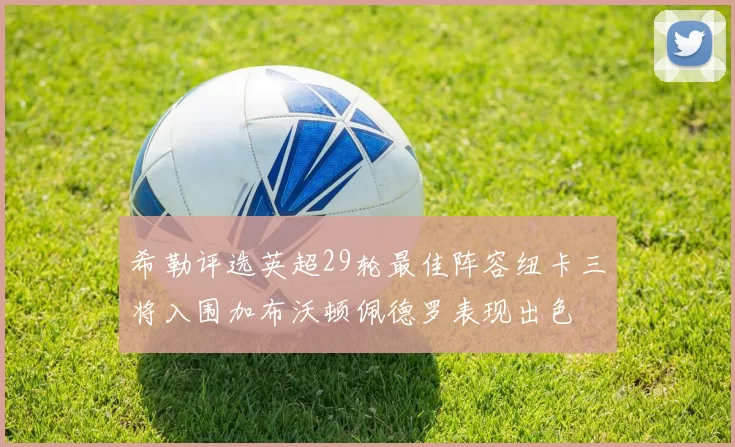 希勒评选英超29轮最佳阵容纽卡三将入围加布沃顿佩德罗表现出色